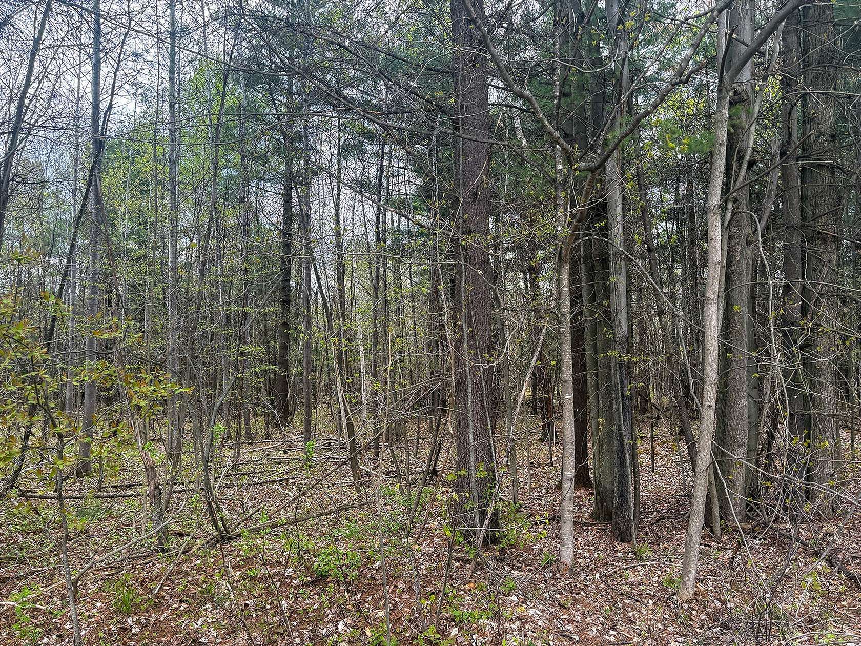 2 Acres of Residential Land for Sale in Burke, New York