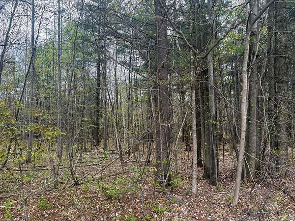 2 Acres of Residential Land for Sale in Burke, New York