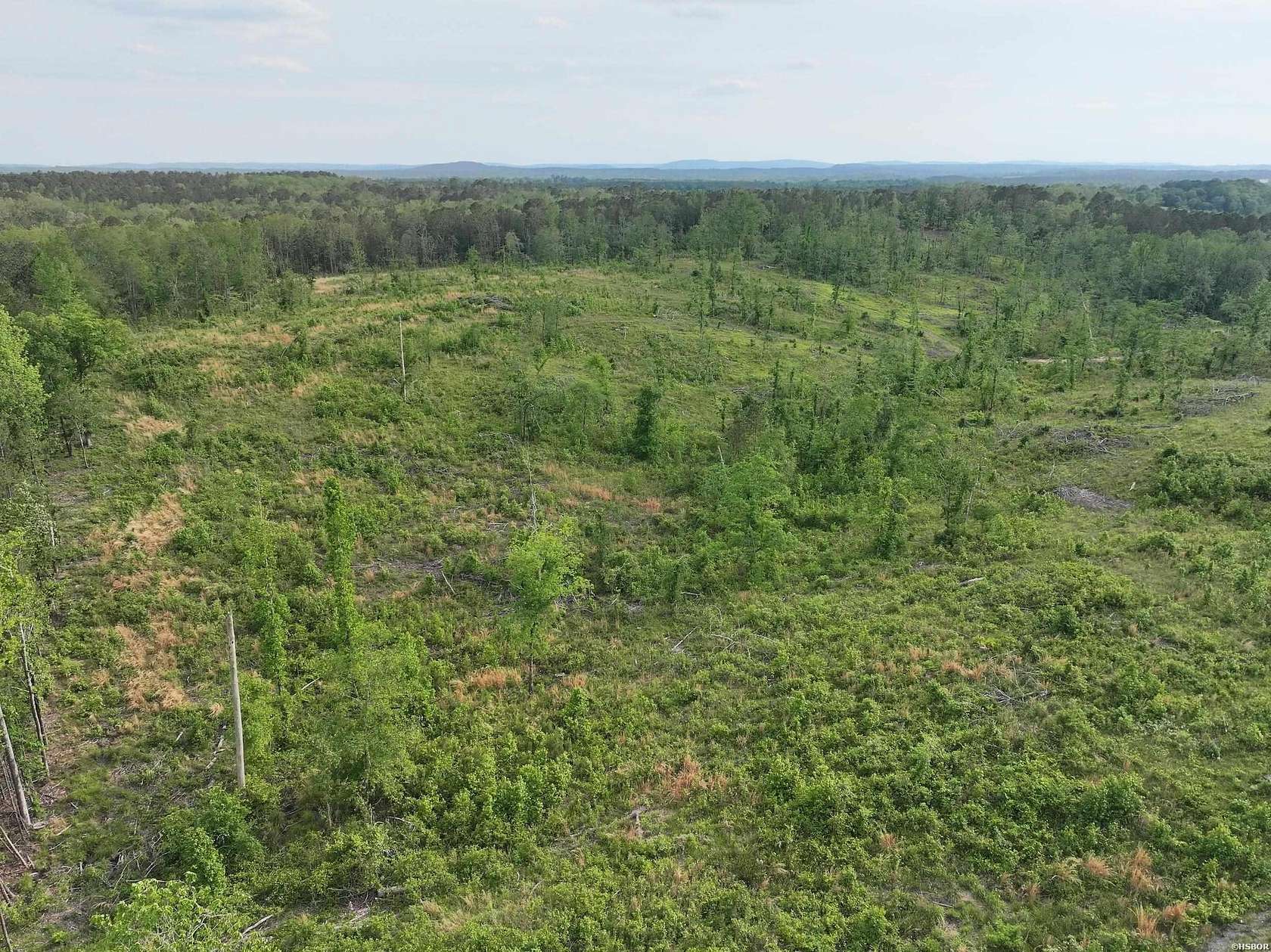 40 Acres of Recreational & Residential Land for Sale in Glenwood, Arkansas