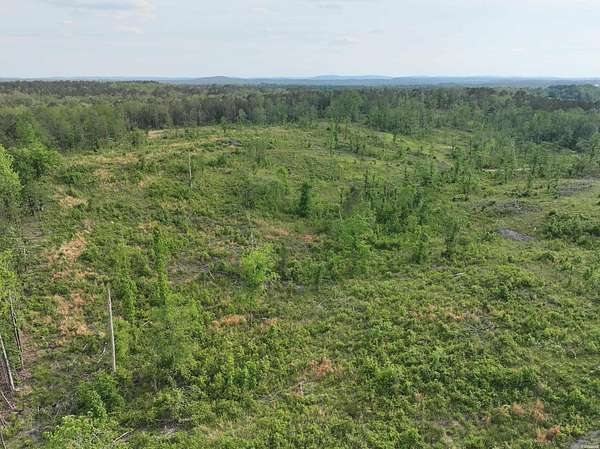 40 Acres of Recreational & Residential Land for Sale in Glenwood, Arkansas