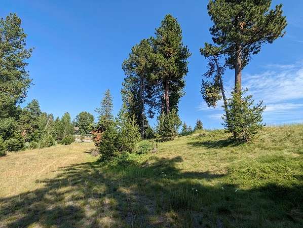 9.56 Acres of Residential Land for Sale in McCall, Idaho