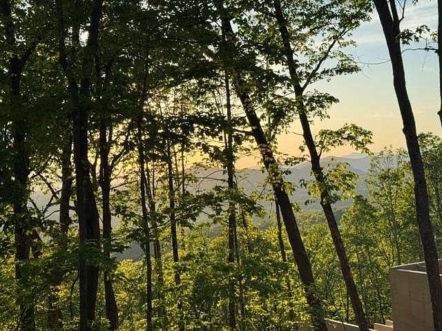 1.26 Acres of Residential Land for Sale in Mineral Bluff, Georgia