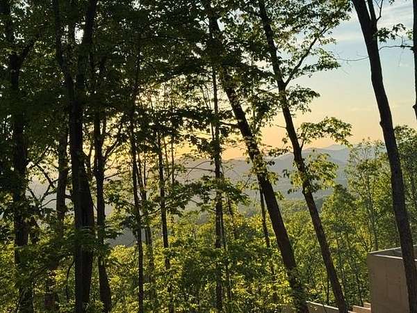 1.26 Acres of Residential Land for Sale in Mineral Bluff, Georgia