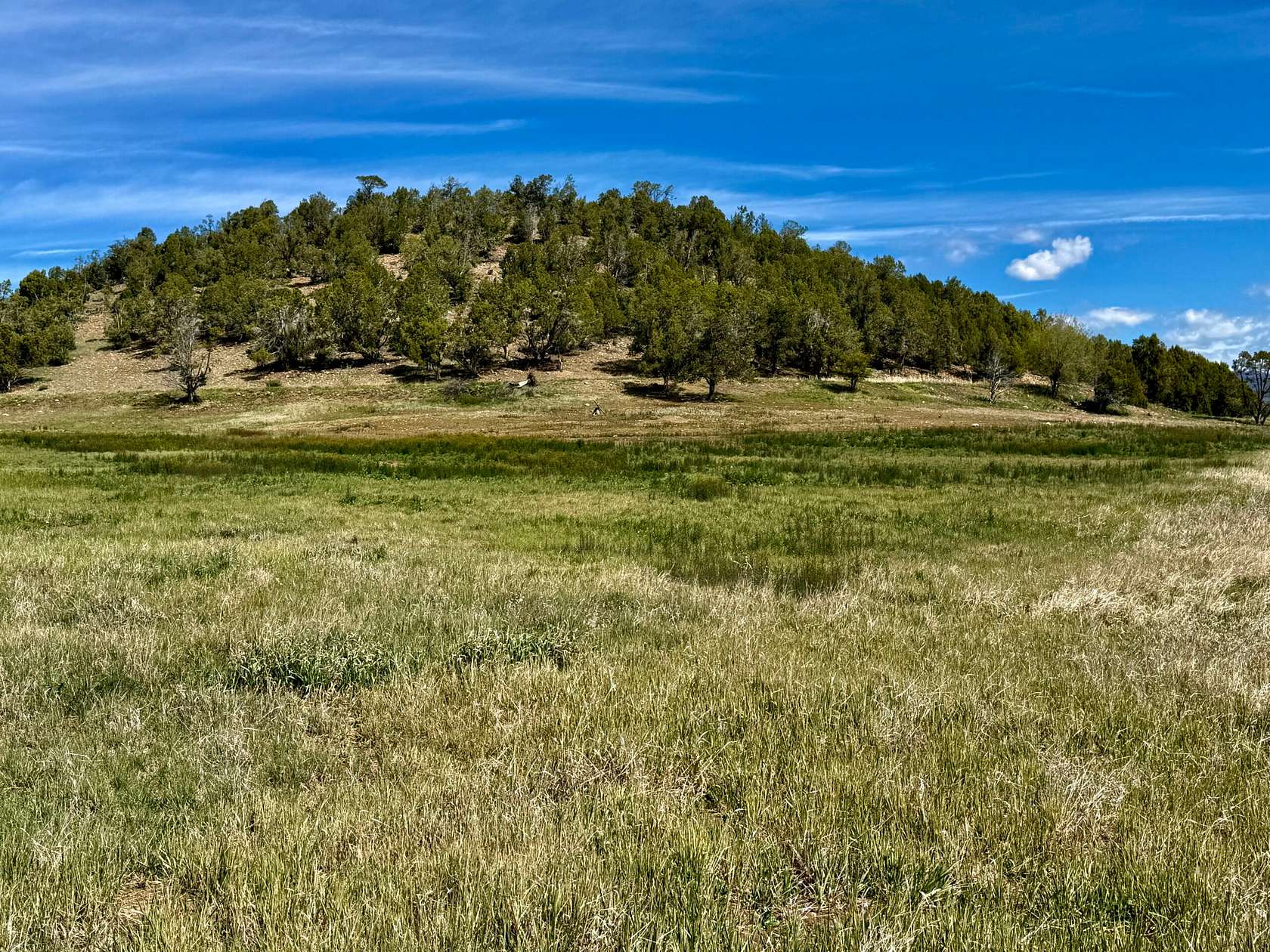 102 Acres of Land for Sale in Durango, Colorado