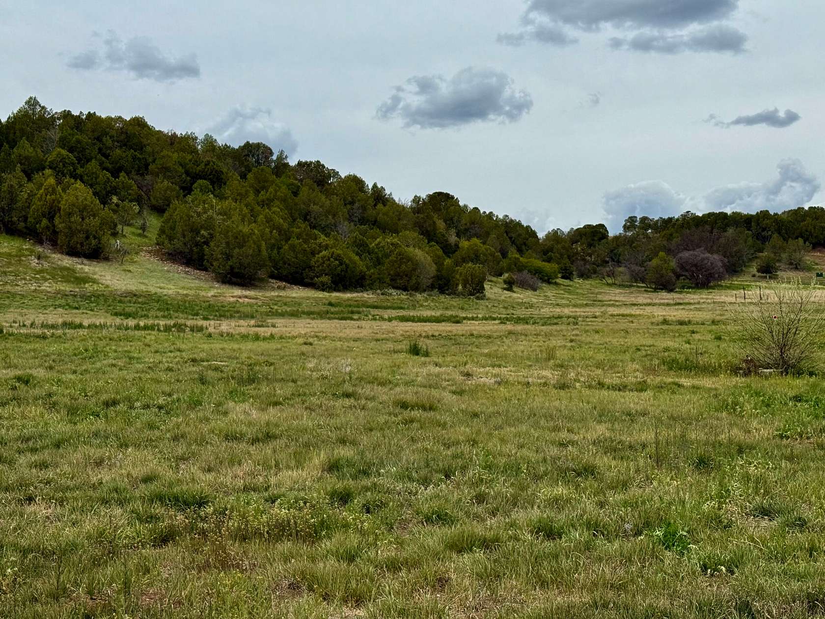 102 Acres of Land for Sale in Durango, Colorado