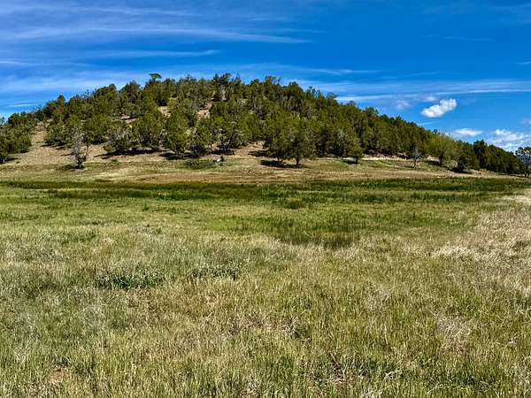 102 Acres of Land for Sale in Durango, Colorado