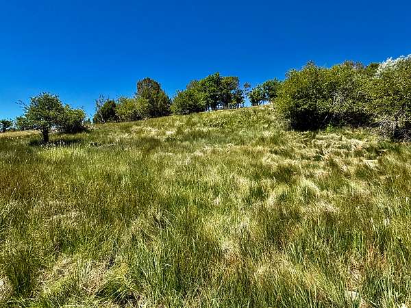 102 Acres of Land for Sale in Durango, Colorado