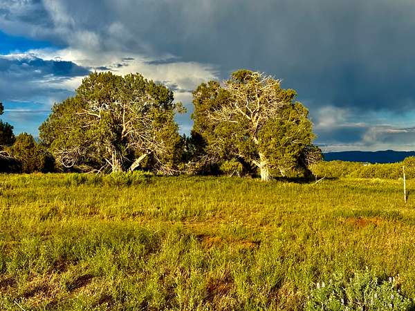 102 Acres of Land for Sale in Durango, Colorado