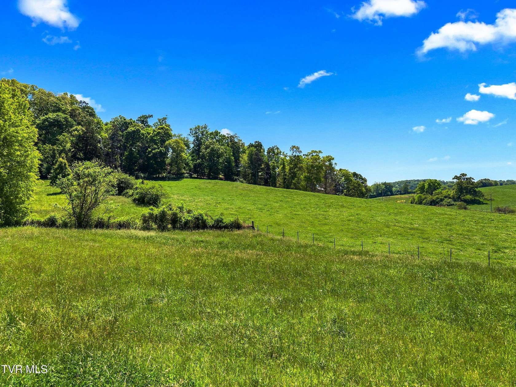 22.3 Acres of Land for Sale in Russellville, Tennessee