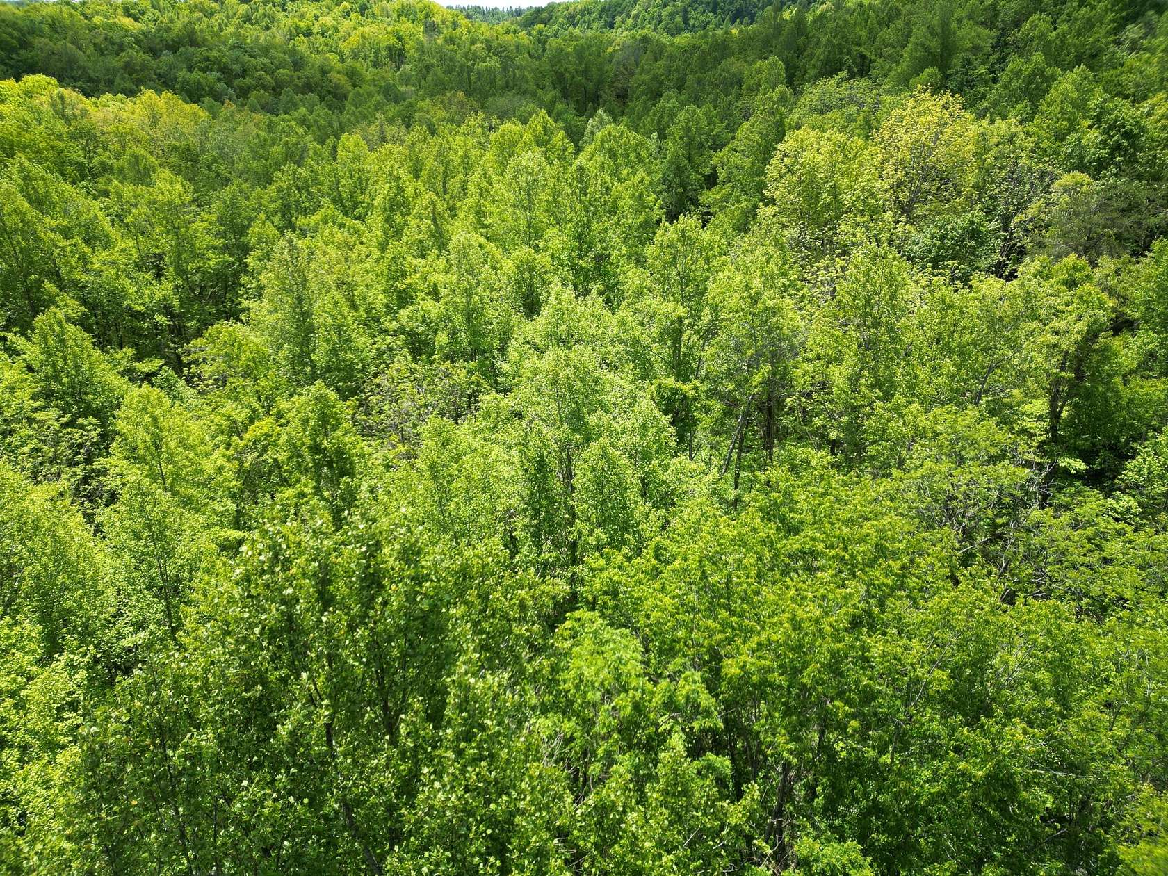 30 Acres of Recreational Land for Sale in McKee, Kentucky