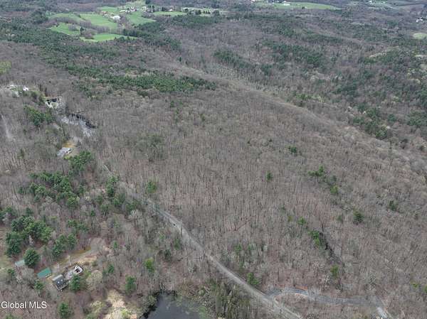 40 Acres of Recreational & Residential Land for Sale in Nassau, New York