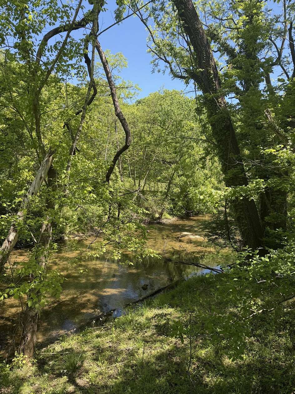 1.17 Acres of Residential Land for Sale in Roanoke, Virginia