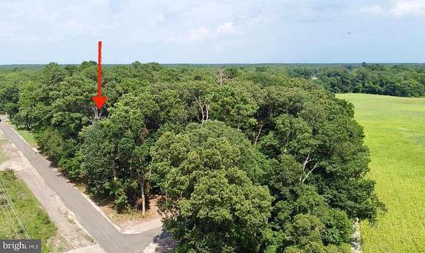 1.46 Acres of Residential Land for Sale in Millsboro, Delaware