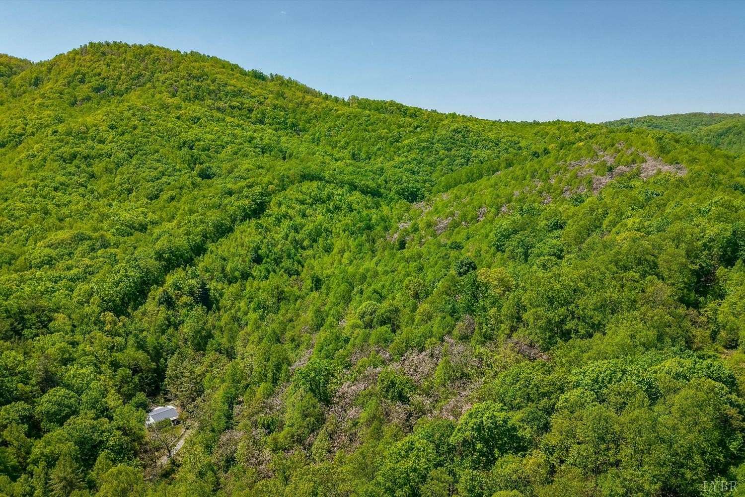 170 Acres of Land for Sale in Montvale, Virginia