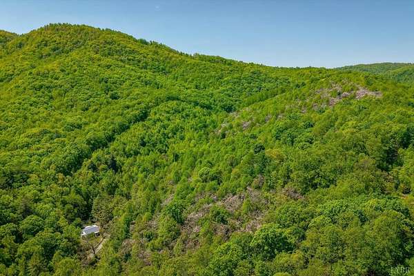 170 Acres of Land for Sale in Montvale, Virginia