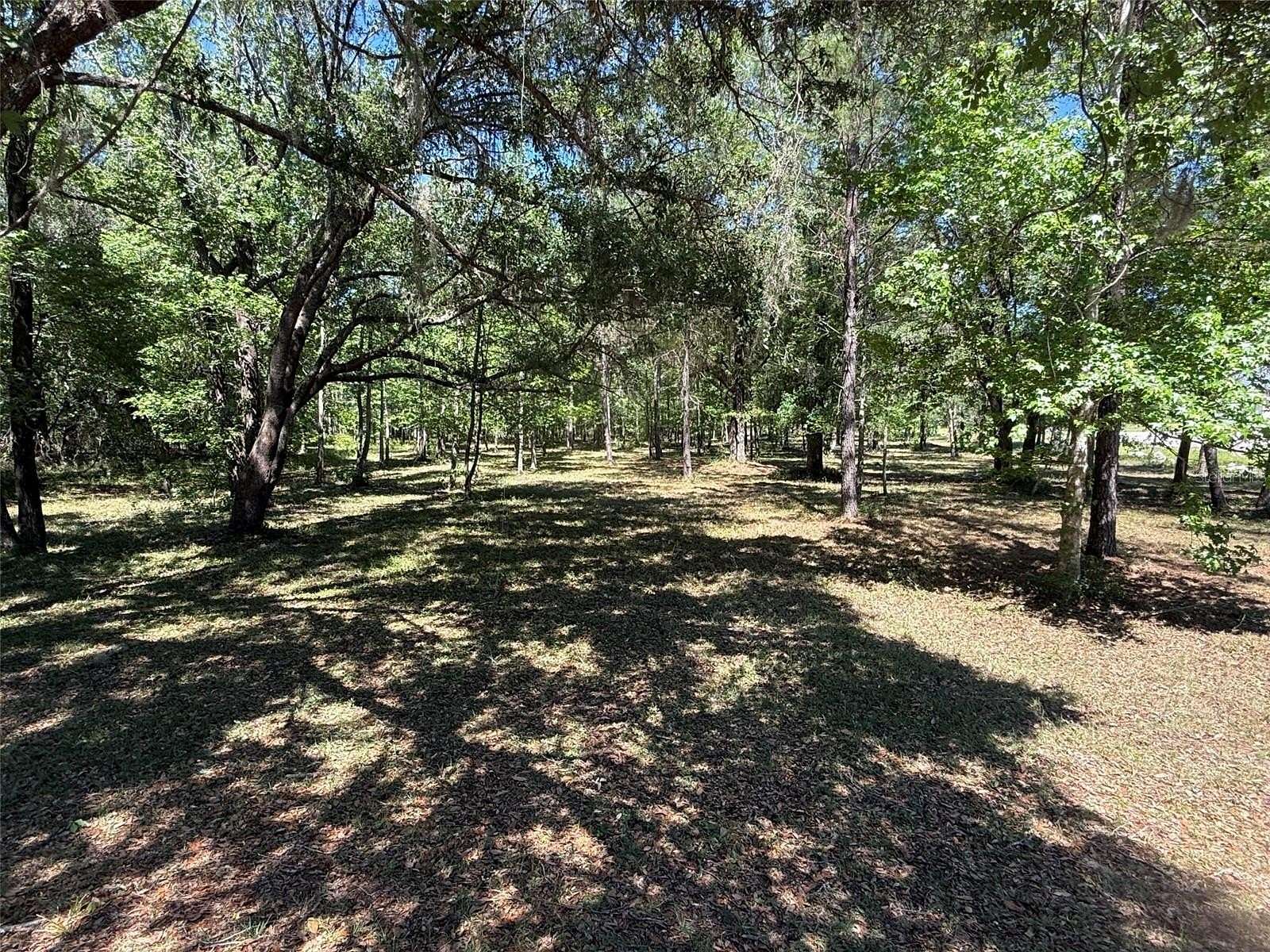 6 Acres of Residential Land for Sale in Williston, Florida