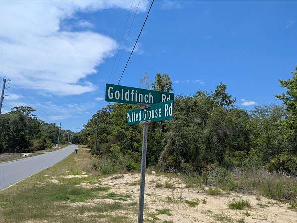 0.5 Acres of Residential Land for Sale in Weeki Wachee, Florida