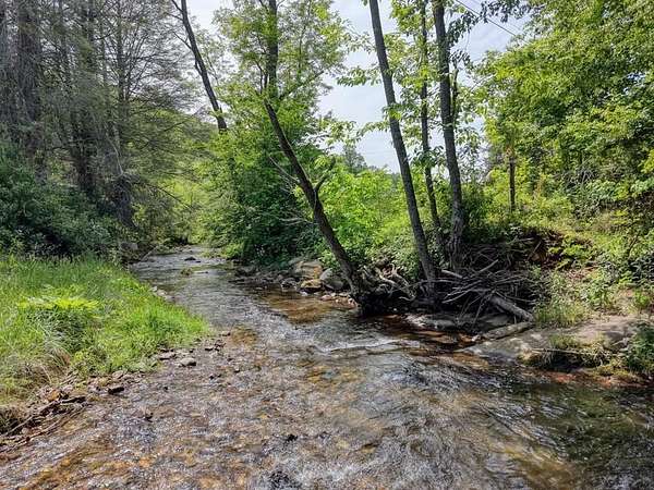 16.9 Acres of Improved Land for Sale in Hiawassee, Georgia
