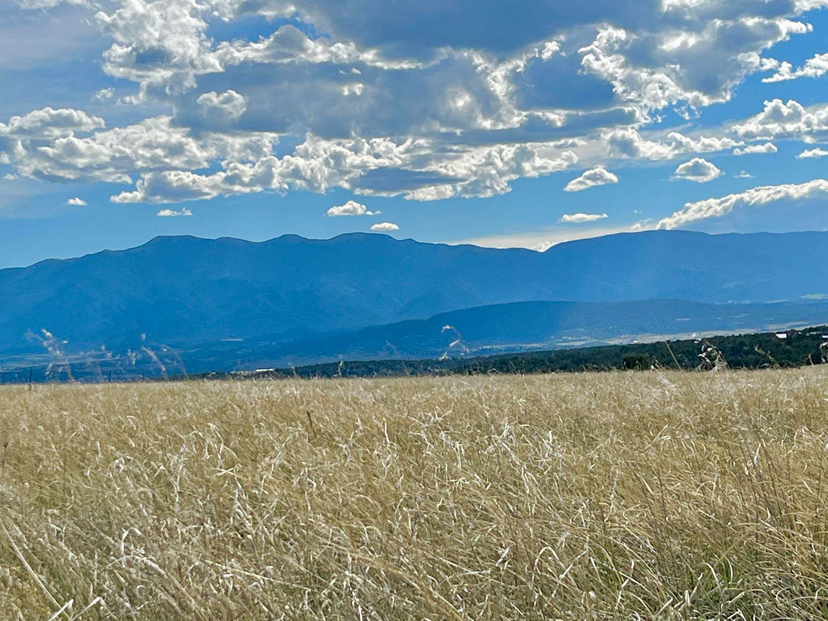 76 Acres of Land for Sale in Rye, Colorado