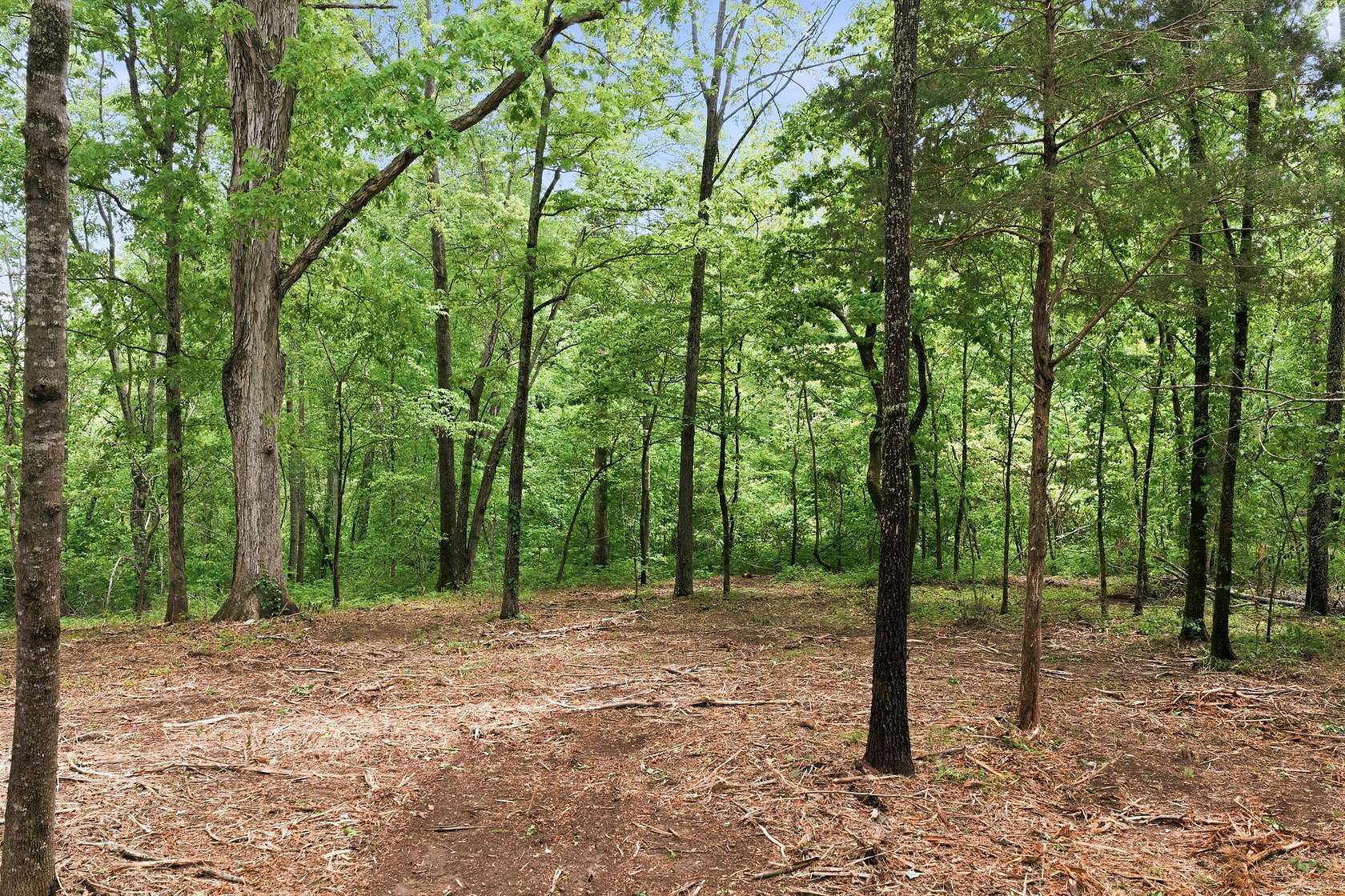 9.8 Acres of Residential Land for Sale in Lyles, Tennessee