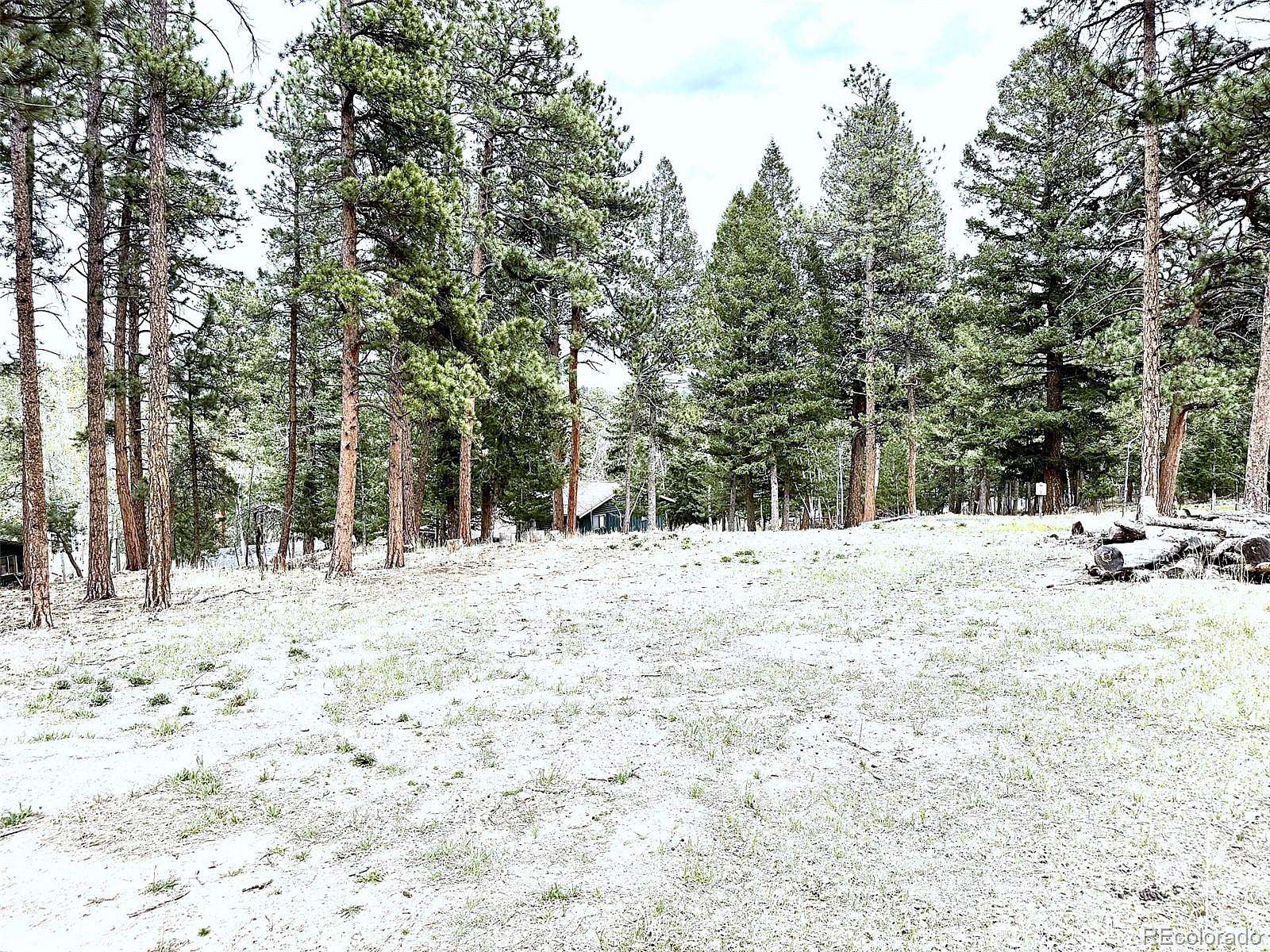 0.63 Acres of Residential Land for Sale in Bailey, Colorado