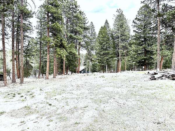 0.63 Acres of Residential Land for Sale in Bailey, Colorado