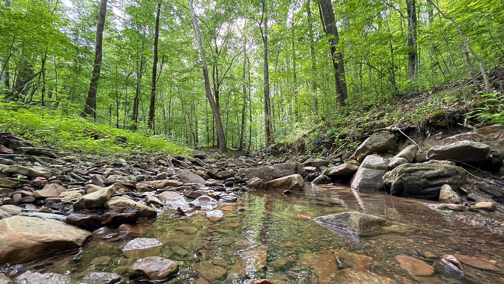 109 Acres of Recreational Land for Sale in Trenton, Georgia
