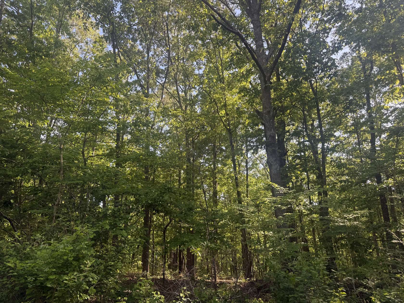 5 Acres of Residential Land for Sale in Summertown, Tennessee