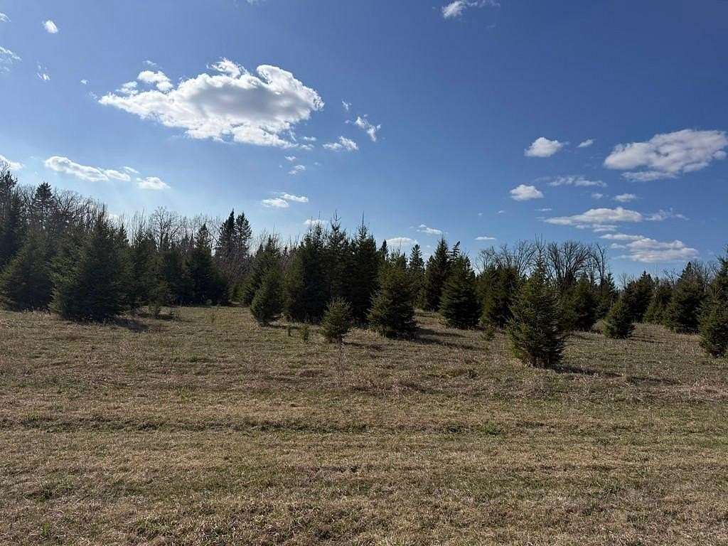 80 Acres of Land for Sale in Park Rapids, Minnesota