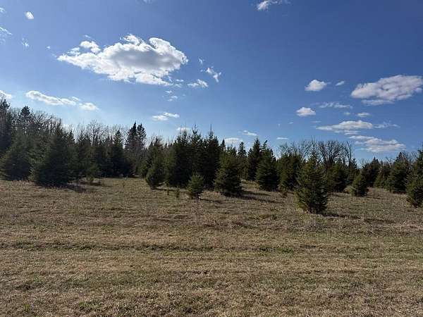 80 Acres of Land for Sale in Park Rapids, Minnesota