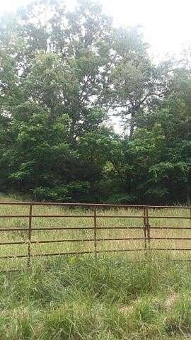 16.6 Acres of Land for Sale in Purdy, Missouri