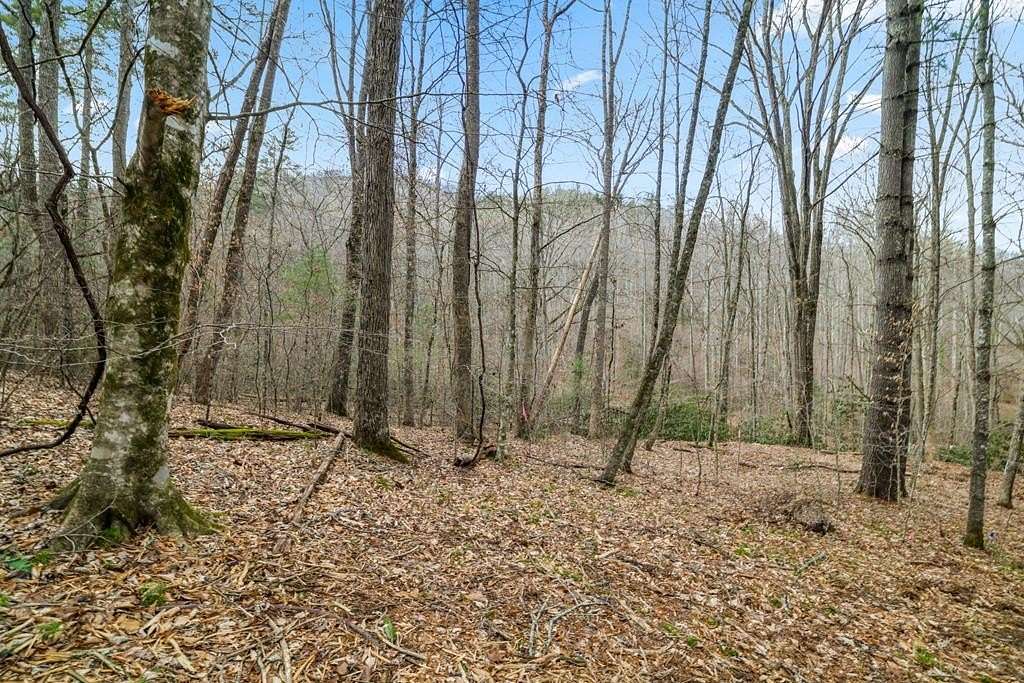 0.5 Acres of Residential Land for Sale in Franklin, North Carolina