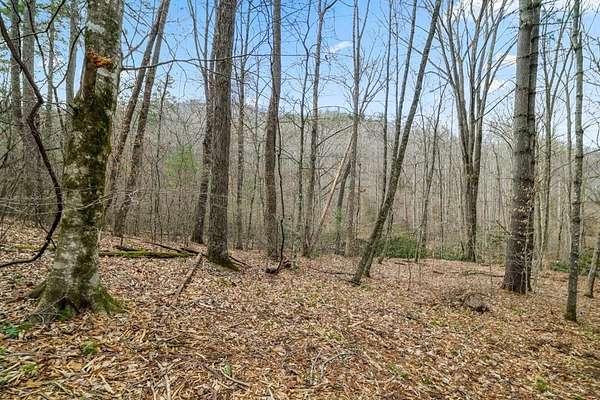 0.5 Acres of Residential Land for Sale in Franklin, North Carolina
