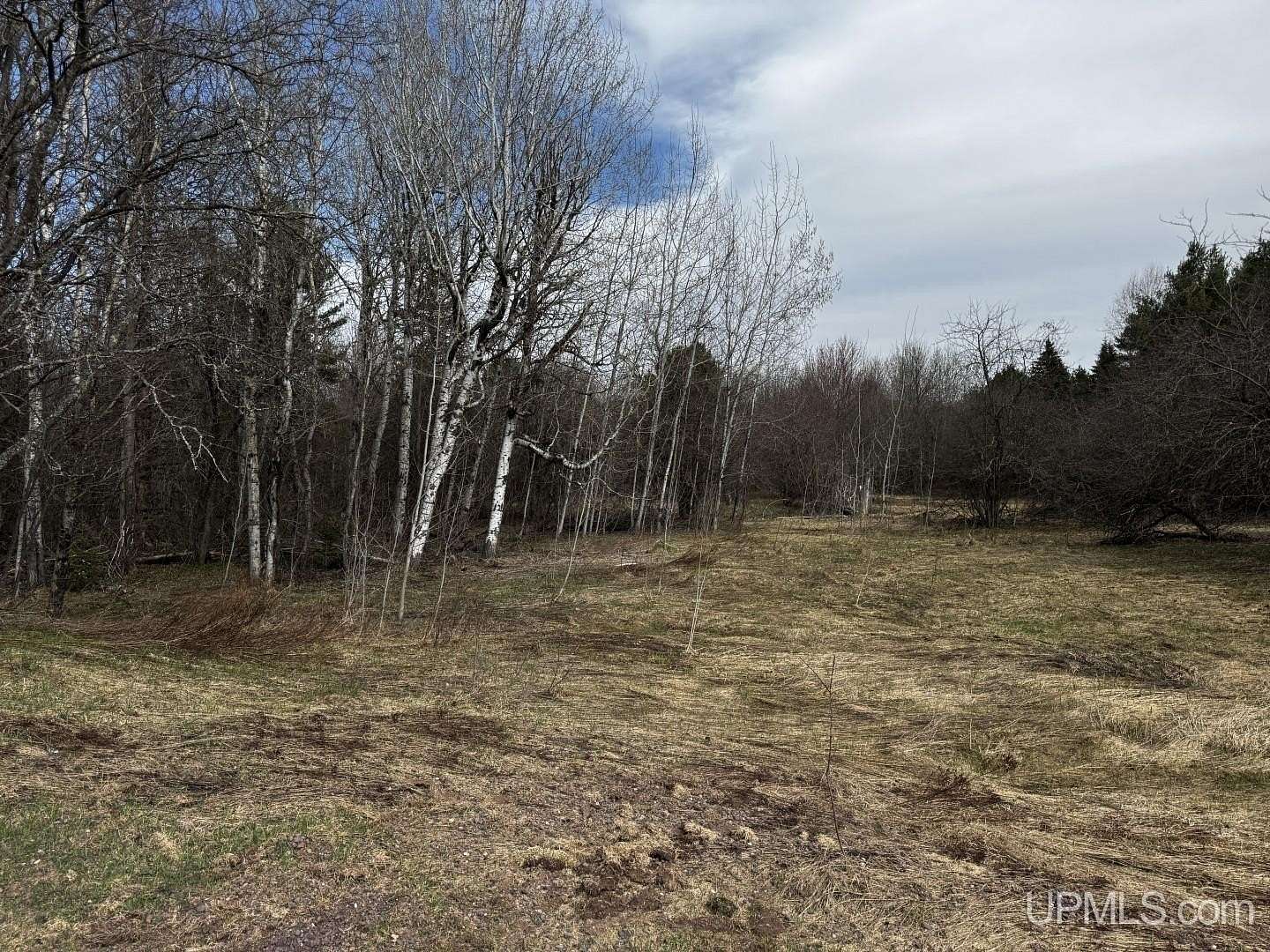 14 Acres of Land for Sale in Ontonagon, Michigan