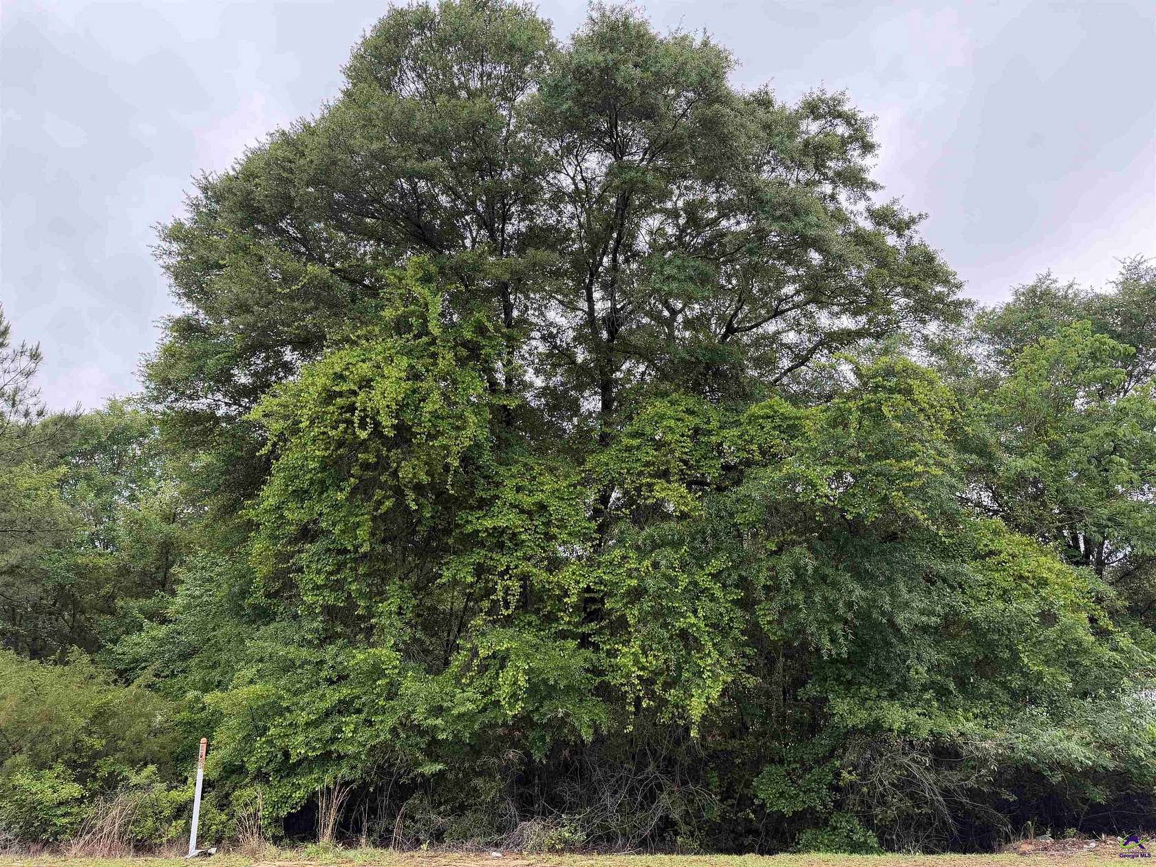 2.64 Acres of Land for Sale in Reynolds, Georgia