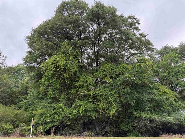 2.64 Acres of Land for Sale in Reynolds, Georgia
