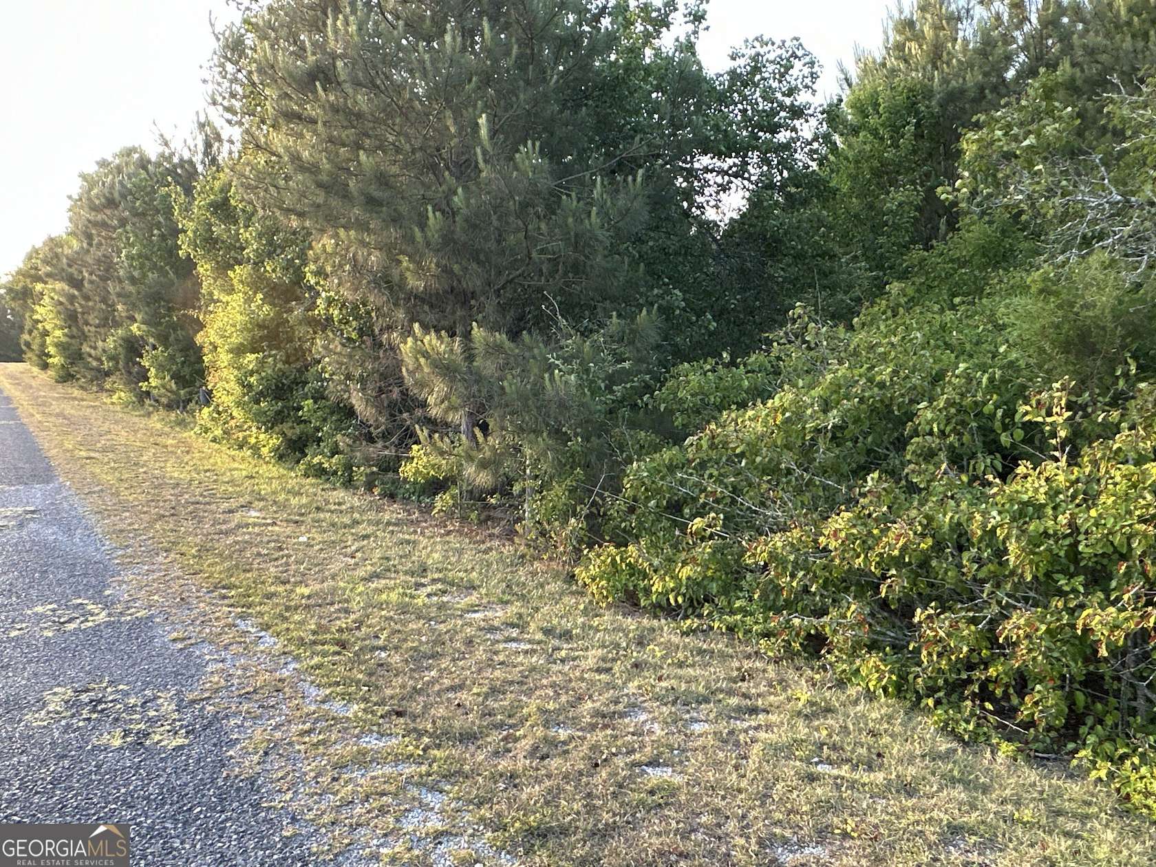 0.62 Acres of Residential Land for Sale in Centre, Alabama