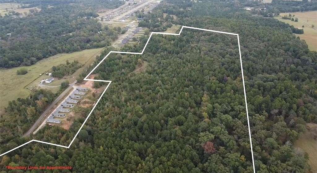 49 Acres of Recreational & Residential Land for Sale in Hallsville, Texas
