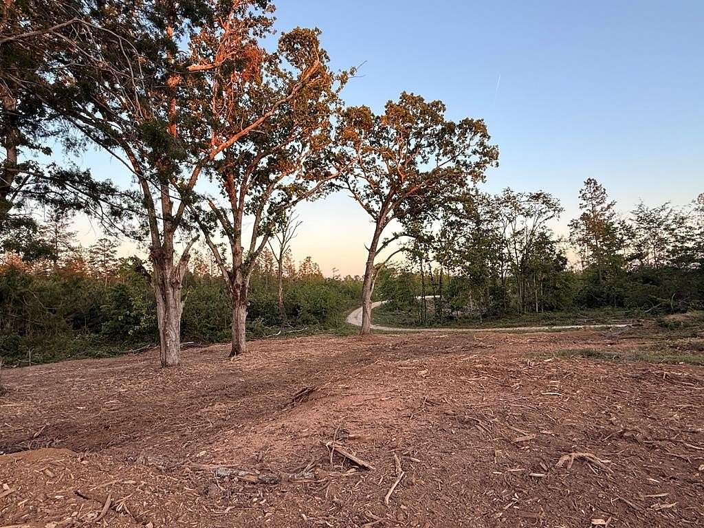 20 Acres of Land for Sale in Mansfield, Tennessee