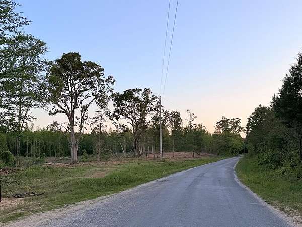 30 Acres of Land for Sale in Mansfield, Tennessee