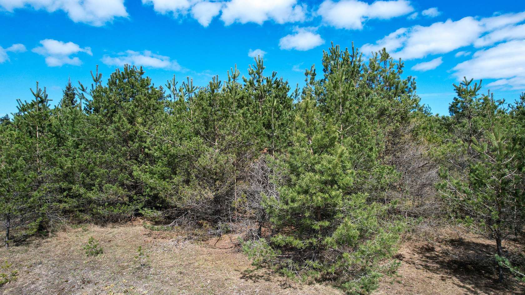 2.83 Acres of Land for Sale in Cheboygan, Michigan