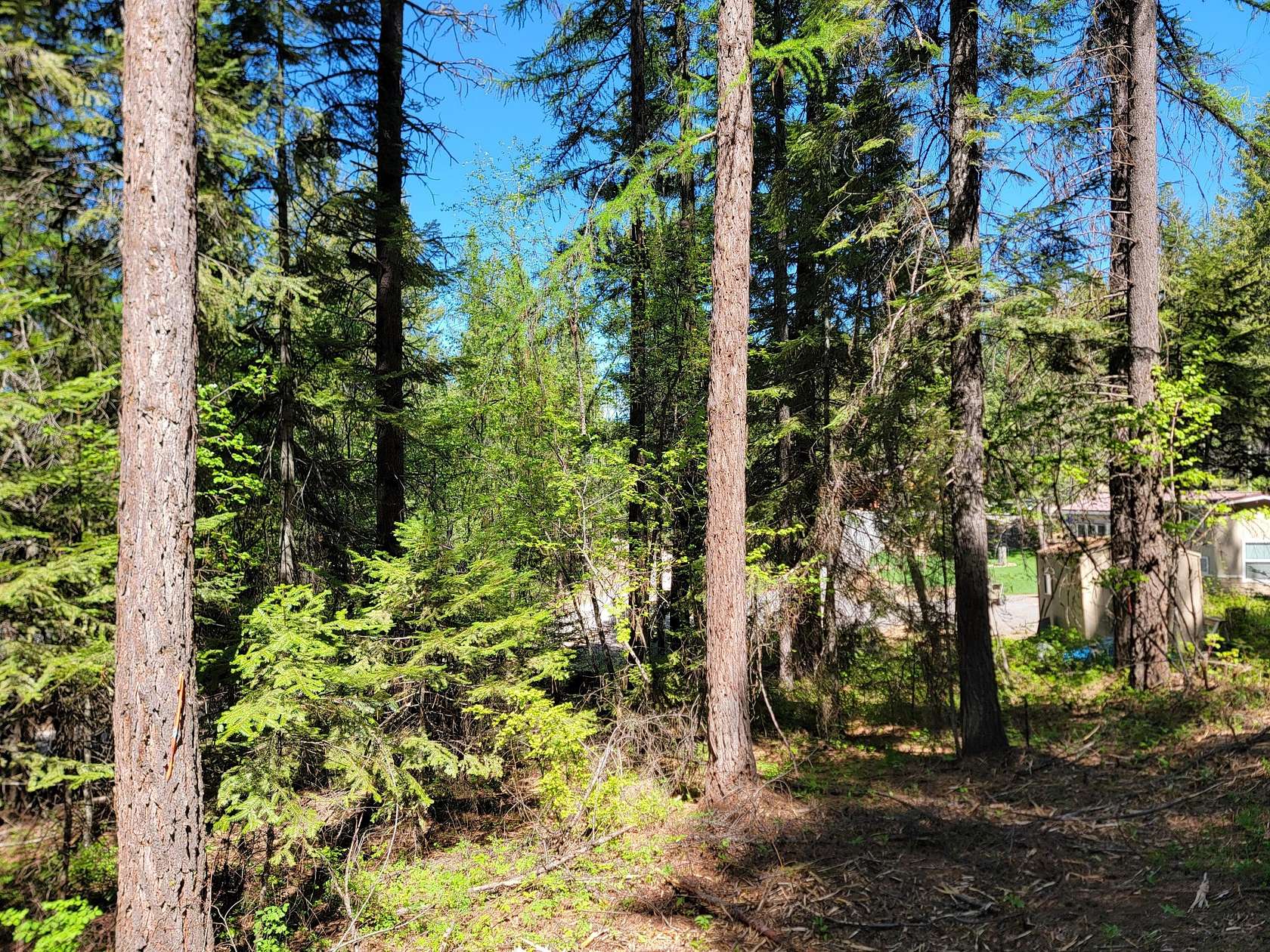0.35 Acres of Land for Sale in Inchelium, Washington