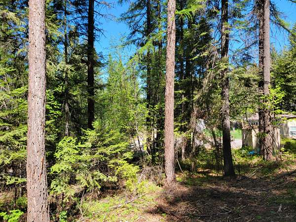 0.35 Acres of Land for Sale in Inchelium, Washington