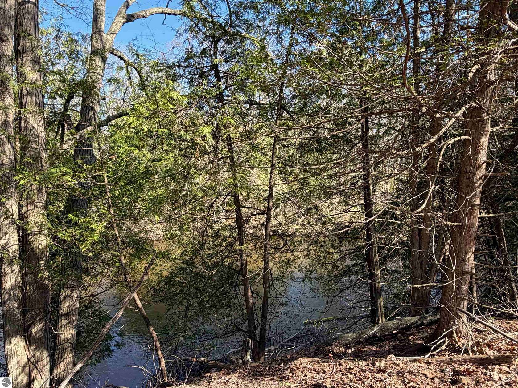 17 Acres of Land for Sale in Mount Pleasant, Michigan