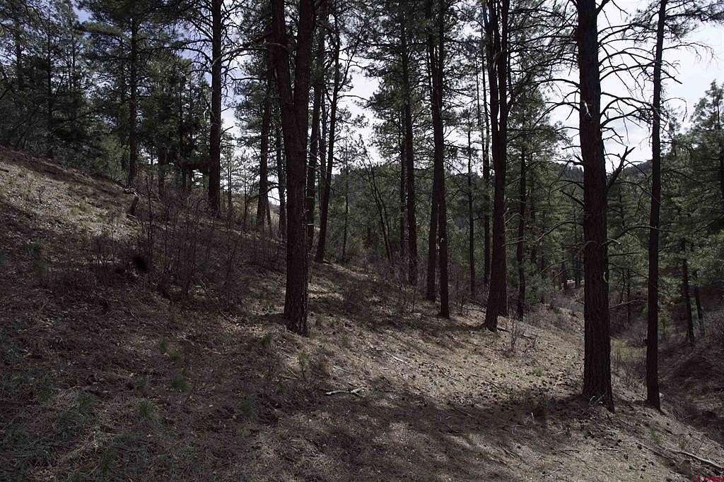 2.23 Acres of Residential Land for Sale in Pagosa Springs, Colorado