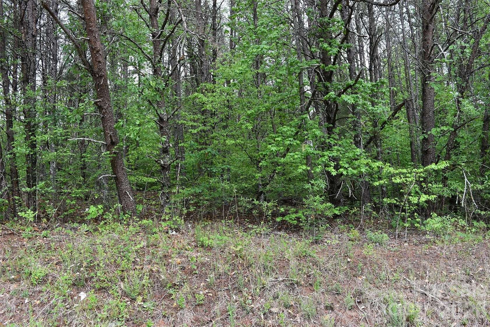 7 Acres of Land for Sale in Casar, North Carolina