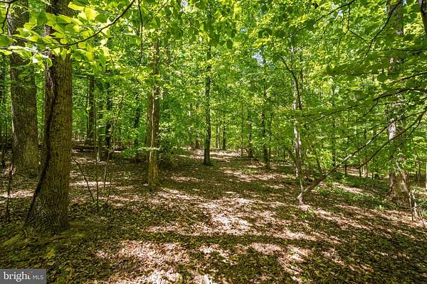 6.5 Acres of Land for Sale in Brandywine, Maryland
