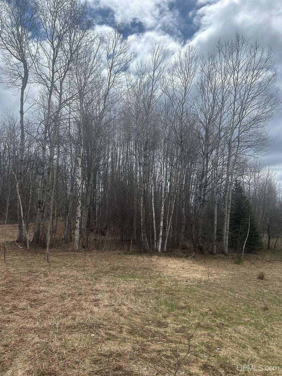 10 Acres of Recreational & Residential Land for Sale in Trout Creek, Michigan