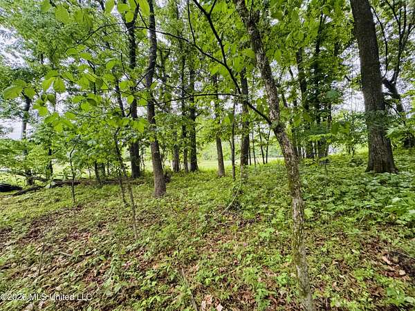 3 Acres of Residential Land for Sale in Hernando, Mississippi