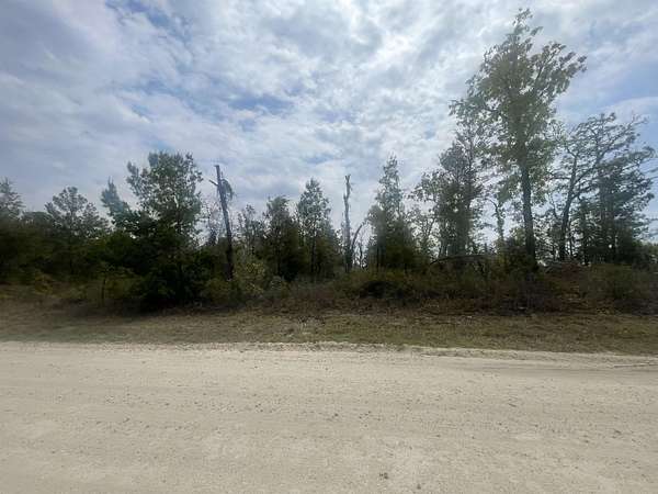 1 Acre of Land for Sale in Keaton Beach, Florida